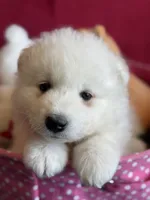 processed/6d11a35d-e48f-482f-88d9-84531793596b/listing/acedfb18-14ce-4882-a236-d95ef4232e71/3b66737d-85da-409e-84e1-160cd7aadcde