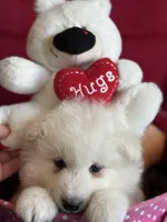 processed/6d11a35d-e48f-482f-88d9-84531793596b/listing/acedfb18-14ce-4882-a236-d95ef4232e71/85e59c0d-f4be-4c42-8d3f-5666315ee019