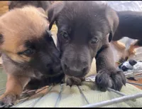 processed/6d1368e8-e307-474e-b777-ca5995171bb7/listing/7243bd73-9457-4563-91f5-ca3c3da7ac3e/8e0cc074-ac6e-491d-9987-b33b6b79a4fc