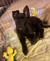 processed/6d1368e8-e307-474e-b777-ca5995171bb7/listing/7243bd73-9457-4563-91f5-ca3c3da7ac3e/b708de77-542b-4327-92d0-35a37cdf0045