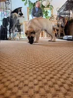 processed/6d1368e8-e307-474e-b777-ca5995171bb7/listing/ae978315-c952-4088-927d-21951a086b11/480403d1-44fc-4ed7-9c36-676334ba0ec5