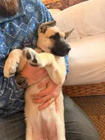 processed/6d1368e8-e307-474e-b777-ca5995171bb7/listing/ae978315-c952-4088-927d-21951a086b11/838cfd47-0d2a-4de4-8308-874eaa97745b