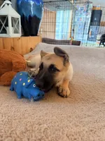 processed/6d1368e8-e307-474e-b777-ca5995171bb7/listing/ae978315-c952-4088-927d-21951a086b11/b2e0a319-39f2-4710-ae50-48106b1ca2a2