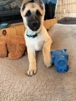 processed/6d1368e8-e307-474e-b777-ca5995171bb7/listing/ae978315-c952-4088-927d-21951a086b11/c526b4ac-eb0d-4943-813f-68d6be22f9e5