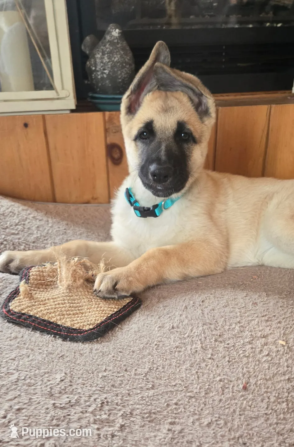 processed/6d1368e8-e307-474e-b777-ca5995171bb7/listing/ae978315-c952-4088-927d-21951a086b11/dfe75362-c279-4c1f-993d-e03f06b4b8a7