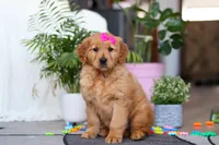 processed/6d1ddb37-0370-410b-9eb1-f5d88a19e89f/listing/1a69faac-ff53-4643-848d-20e6a34af644/022e9ef5-5dba-461f-b927-61843b7e4856