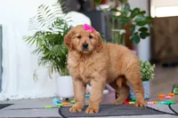 processed/6d1ddb37-0370-410b-9eb1-f5d88a19e89f/listing/1a69faac-ff53-4643-848d-20e6a34af644/9ffdeafd-17ae-4fa8-8bbd-0825497acc6d