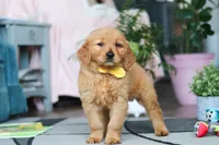 processed/6d1ddb37-0370-410b-9eb1-f5d88a19e89f/listing/ae87258a-a412-49b6-bf66-507a90904145/147be95c-a2a0-4b99-b43a-d655ff597825