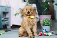 processed/6d1ddb37-0370-410b-9eb1-f5d88a19e89f/listing/ae87258a-a412-49b6-bf66-507a90904145/2444bf28-89e3-4a35-98d8-4af215b8fe38