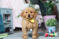 processed/6d1ddb37-0370-410b-9eb1-f5d88a19e89f/listing/ae87258a-a412-49b6-bf66-507a90904145/d4488575-f2f6-49cb-9434-ad0e3f0ef5f7