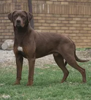 processed/6d273ad9-9f34-4569-bccd-6a76bc9823b7/facility/1777968f-9b5f-42a1-85c0-e859d625d506