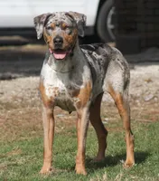 processed/6d273ad9-9f34-4569-bccd-6a76bc9823b7/facility/26491392-7b07-40a8-9047-a072ffbd7f28