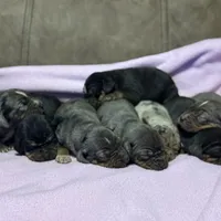 processed/6d273ad9-9f34-4569-bccd-6a76bc9823b7/facility/45f24832-3561-47e5-b011-abdc5496bc22