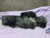 processed/6d273ad9-9f34-4569-bccd-6a76bc9823b7/facility/45f24832-3561-47e5-b011-abdc5496bc22