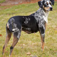 processed/6d273ad9-9f34-4569-bccd-6a76bc9823b7/facility/47053988-6540-4895-9696-6092743f3217