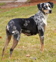 processed/6d273ad9-9f34-4569-bccd-6a76bc9823b7/facility/47053988-6540-4895-9696-6092743f3217