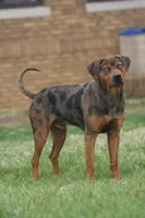 processed/6d273ad9-9f34-4569-bccd-6a76bc9823b7/facility/4b31aa69-9dae-417b-98b3-c6e916fb5f61