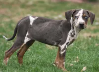 processed/6d273ad9-9f34-4569-bccd-6a76bc9823b7/facility/90cd23c7-4822-49e0-a322-196e61c1ac2d