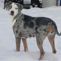 processed/6d273ad9-9f34-4569-bccd-6a76bc9823b7/facility/953275a4-ecc9-401d-9173-667ae6dea2b9