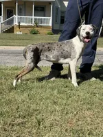 processed/6d273ad9-9f34-4569-bccd-6a76bc9823b7/facility/9c1703db-6485-408e-9e68-5115889f0da6