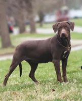 processed/6d273ad9-9f34-4569-bccd-6a76bc9823b7/facility/a8916c9f-acb4-42d0-a773-2ddac4d733f9