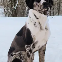 processed/6d273ad9-9f34-4569-bccd-6a76bc9823b7/facility/fc41558f-a90e-43d7-b7c6-c56862507057