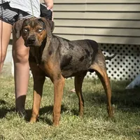 processed/6d273ad9-9f34-4569-bccd-6a76bc9823b7/facility/fcf6955c-f9e4-47fd-91d2-7d47575da2a5