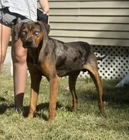 processed/6d273ad9-9f34-4569-bccd-6a76bc9823b7/facility/fcf6955c-f9e4-47fd-91d2-7d47575da2a5