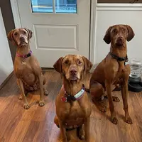 processed/6d2a2654-0745-4279-b803-0ebf63156584/facility/06a1a82d-d162-4220-8925-5a15e74f05c4