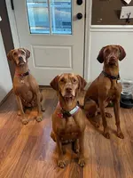 processed/6d2a2654-0745-4279-b803-0ebf63156584/facility/06a1a82d-d162-4220-8925-5a15e74f05c4