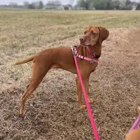 processed/6d2a2654-0745-4279-b803-0ebf63156584/facility/319891d8-61a6-4576-b587-61d68be750f6