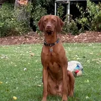 processed/6d2a2654-0745-4279-b803-0ebf63156584/facility/45ef603e-57ab-450d-bf51-ecf5e38f8882