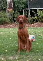 processed/6d2a2654-0745-4279-b803-0ebf63156584/facility/45ef603e-57ab-450d-bf51-ecf5e38f8882