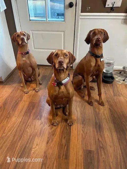 processed/6d2a2654-0745-4279-b803-0ebf63156584/facility/c53830ad-035d-4bec-9882-33e2ef67c4bb