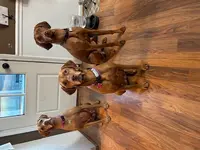 processed/6d2a2654-0745-4279-b803-0ebf63156584/facility/c53830ad-035d-4bec-9882-33e2ef67c4bb