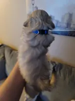 processed/6d34cf89-0e30-41ec-93da-1a46a309c0e9/listing/af58a432-efeb-495d-80fe-67728d965a6e/475e1cda-dbbc-47c0-b2a5-f64291026885