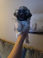 processed/6d34cf89-0e30-41ec-93da-1a46a309c0e9/listing/af58a432-efeb-495d-80fe-67728d965a6e/57e2ca6d-f420-4296-bacb-80a25d100ba2