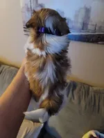 processed/6d34cf89-0e30-41ec-93da-1a46a309c0e9/listing/ced1516b-c7ce-435d-addc-412028e024e6/61a62b9a-5d54-4fa3-aa20-0266a6e7b501