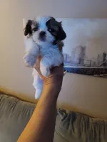 processed/6d34cf89-0e30-41ec-93da-1a46a309c0e9/listing/ced1516b-c7ce-435d-addc-412028e024e6/a8cff647-e0c8-4849-89bb-f704212b5c7d