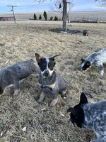 processed/6d3b396b-333d-456a-9851-6db87095c6e6/facility/2173f312-f994-477e-b44f-408fbdfa9827