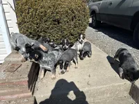 processed/6d3b396b-333d-456a-9851-6db87095c6e6/facility/c443d146-2ac8-452e-a047-3d620bc27ddb