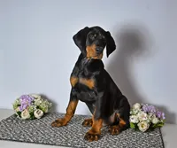 processed/6d3e0ba4-71f2-4657-b373-14e92cf10759/listing/9637ab33-a44d-4ca9-8866-ddf57fb0fa22/286b883d-3b01-4cf5-bfe9-011dff5b26c7