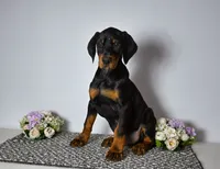 processed/6d3e0ba4-71f2-4657-b373-14e92cf10759/listing/9637ab33-a44d-4ca9-8866-ddf57fb0fa22/4da4b375-8863-4802-8b01-730edc5207e5