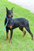 processed/6d3e0ba4-71f2-4657-b373-14e92cf10759/listing/9637ab33-a44d-4ca9-8866-ddf57fb0fa22/86d56509-0e7f-4643-812e-9121a087d29f