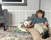 Kendra, a female West Highland White Terrier for sale in Berlin, OH – Photo 5 of 5