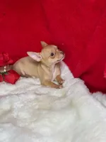 processed/6d3fc065-6464-445c-8c70-564982b27023/listing/493fe073-dcb4-48f6-84b7-d0f8146d568f/13c8e30e-a87b-4644-93e8-9a2dac9a3c85