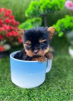 processed/6d3fc065-6464-445c-8c70-564982b27023/listing/71f64117-4141-4058-b4ba-9928128d4719/497e0e9d-dee0-4c74-999b-b543c4c709a7