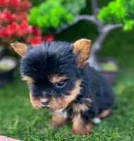 processed/6d3fc065-6464-445c-8c70-564982b27023/listing/71f64117-4141-4058-b4ba-9928128d4719/bf2c5553-5225-4da1-8d49-c3ec4e846068