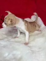 processed/6d3fc065-6464-445c-8c70-564982b27023/listing/761ebf68-845b-44da-b336-26ab5ba83235/2d5bbdcb-0851-43a1-b67a-7b525ee9fa2d