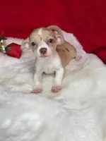 processed/6d3fc065-6464-445c-8c70-564982b27023/listing/761ebf68-845b-44da-b336-26ab5ba83235/9c87cc5d-a02e-4bd3-9381-e0958016c62c